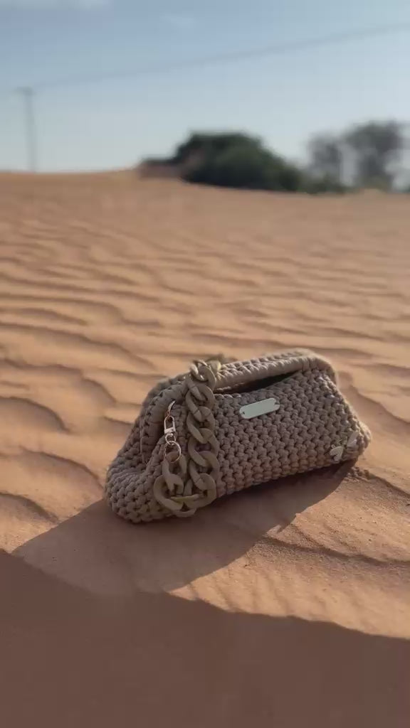 Desert Dragonfly